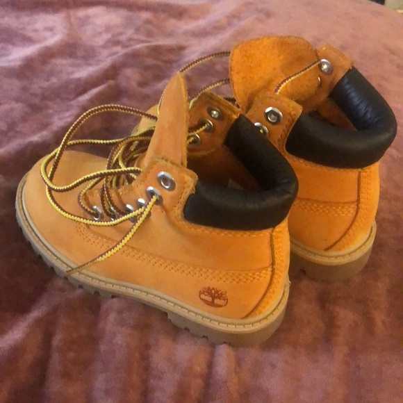 Timberlands - Picture 2 of 6
